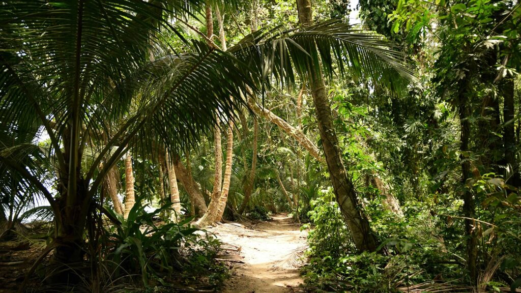 Epic Caribbean adventures for remote workers seeking thrills